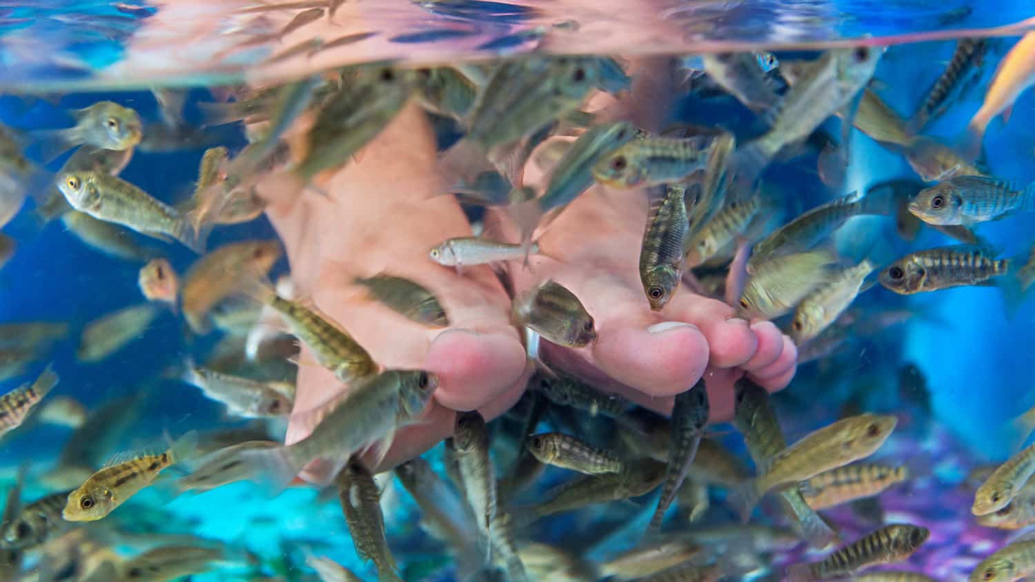 fishpedicure